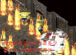 ����˽�����ϰ汾�Ƕ����������Ź�����β�ѯ