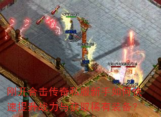 �տ��ϻ�����˽��������ο�������ս�����ȡϡ��װ����