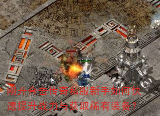 �տ��ϻ�����˽��������ο�������ս�����ȡϡ��װ����