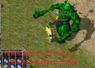 传奇私服新手如何快速上手?顶级玩家私藏技巧大揭秘 传奇私服新手如何快速上手?顶级玩家私藏技巧大揭秘