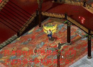 ��ͨ��������˽��������ο�����������ȡϡ��װ����