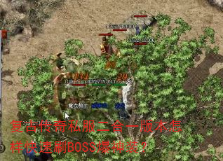 ���Ŵ���˽������һ�汾��������ˢBOSS����װ��