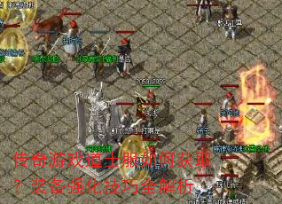 ������Ϸ��ʿ����λ�ȡ��װ��ǿ������ȫ����