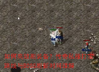 ��θ�Чˢװ��������˽����·����BOSSˢ��ʱ�����