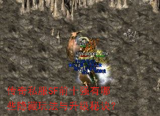 ����˽��SFǰʮǿ����Щ�����淨�������ؾ���