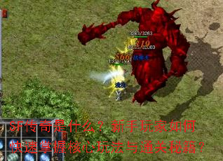 SF������ʲô�����������ο������պ����淨��ͨ���ؼ���