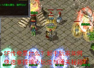 SF������ʲô�����������ο������պ����淨��ͨ���ؼ���