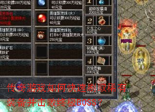 ������Ϸ��ο���ˢȡϡ��װ���������ռ�BOSS��