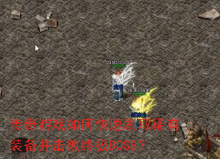 ������Ϸ��ο���ˢȡϡ��װ���������ռ�BOSS��