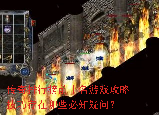 �������а�ǰʮ����Ϸ���Լ��ɴ�����Щ��֪���ʣ�