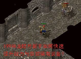 199神龙皓月新手如何快速提升战力与获取稀有装备? 199神龙皓月新手如何快速提升战力与获取稀有装备?