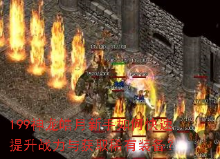 199神龙皓月新手如何快速提升战力与获取稀有装备? 199神龙皓月新手如何快速提升战力与获取稀有装备?