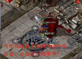 ����˽��������ο�������װ�����ر���������Щ��