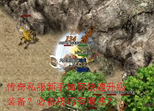 ����˽��������ο�������װ�����ر���������Щ��