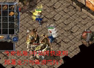 ����˽��3����ο���ˢ������������Խ�ָ��