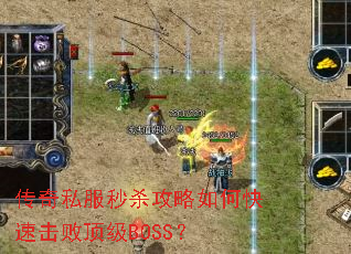 ����˽����ɱ������ο��ٻ��ܶ���BOSS��