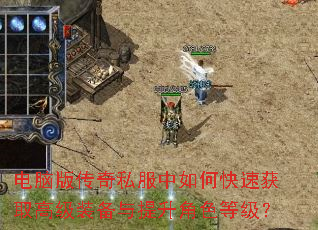 ���԰洫��˽������ο��ٻ�ȡ�߼�װ����������ɫ�ȼ���