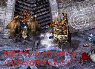 ��Ѫ����˽�������̳�װ����ȡ��������Щ��Ч���ɣ�