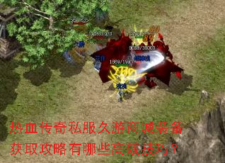 ��Ѫ����˽�������̳�װ����ȡ��������Щ��Ч���ɣ�