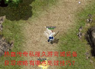 ��Ѫ����˽�������̳�װ����ȡ��������Щ��Ч���ɣ�