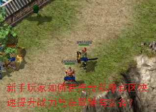 �����������ڴ���˽��������������ս�����ȡϡ��װ����