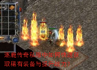 ��¹����˽������ο��ٻ�ȡϡ��װ��������ս����