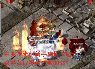 �б䴫��sf������ο�����������ȡ��װ����BOSS��