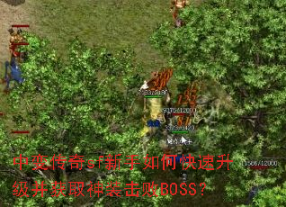 �б䴫��sf������ο�����������ȡ��װ����BOSS��