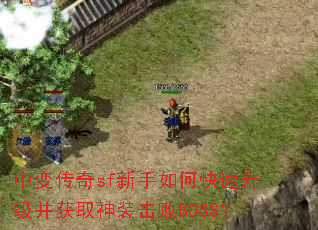 �б䴫��sf������ο�����������ȡ��װ����BOSS��