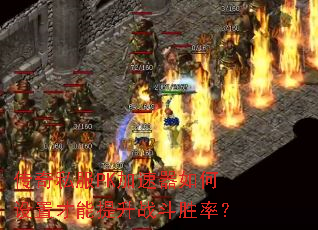 ����˽��PK������������ò�������ս��ʤ�ʣ�