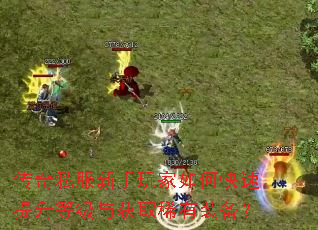 传奇私服新手玩家如何快速提升等级与获取稀有装备? 传奇私服新手玩家如何快速提升等级与获取稀有装备?