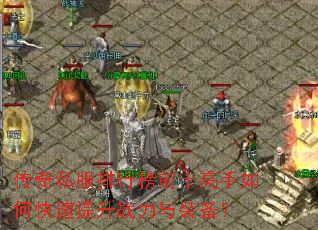 ����˽�����а�ǰʮ������ο�������ս����װ����