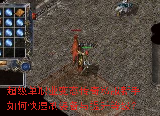 ������ְҵ��̬����˽��������ο���ˢװ���������ȼ���