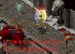 ��䴫��˽��������ο�������ս�����������ص�ͼ��