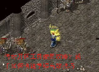 传奇开区工具使用攻略?新手如何快速掌握高效技巧 传奇开区工具使用攻略?新手如何快速掌握高效技巧