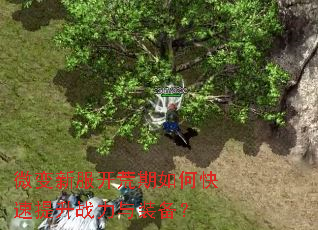 微变新服开荒期如何快速提升战力与装备? 微变新服开荒期如何快速提升战力与装备?