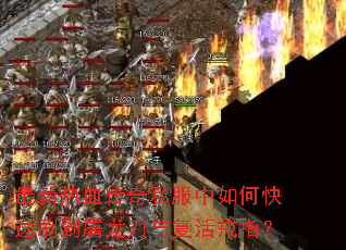 ������Ѫ����˽������ο���ˢ���������븴���ָ��