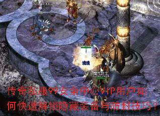 ����˽��99��ȫ����VIP�û���ο��ٽ�������װ������⼼�ɣ�