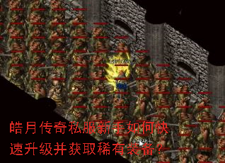 ��´���˽��������ο�����������ȡϡ��װ����