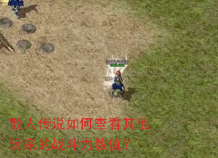 散人传说如何查看其他玩家的战斗力数值? 散人传说如何查看其他玩家的战斗力数值?