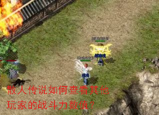 散人传说如何查看其他玩家的战斗力数值? 散人传说如何查看其他玩家的战斗力数值?