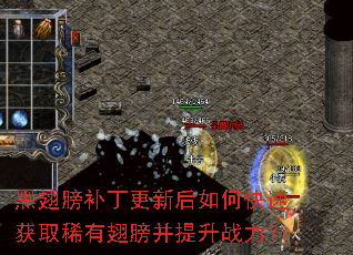 黑翅膀补丁更新后如何快速获取稀有翅膀并提升战力? 黑翅膀补丁更新后如何快速获取稀有翅膀并提升战力?