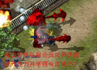 �ϻ�����˽����Ա��ο�������ս�������պϻ����ɣ�