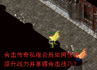 �ϻ�����˽����Ա��ο�������ս�������պϻ����ɣ�