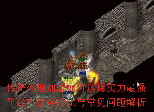 ��������������ѡ��ʵ����ǿƽ̨�����ƶԱ��볣���������