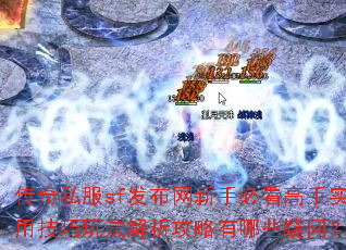 传奇私服sf发布网新手必看高手实用技巧玩法解析攻略有哪些疑问? 传奇私服sf发布网新手必看高手实用技巧玩法解析攻略有哪些疑问?