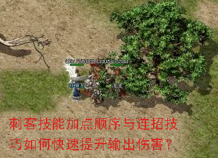 刺客技能加点顺序与连招技巧如何快速提升输出伤害? 刺客技能加点顺序与连招技巧如何快速提升输出伤害?