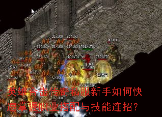 Ӣ�ۺϻ�����˽��������ο�������ְҵ�����뼼�����У�