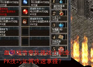 Ѫɷ�洫��˽��սʿְҵPK������ο������գ�