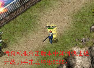 ����˽���ϻ��汾����ο�������ս���������ռ�BOSS��